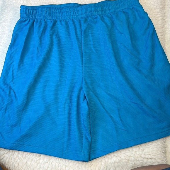 Athletic Works Mens XL Saphire Knit Shorts. EUC. Elastic and Drawstring Waist. - Picture 1 of 4
